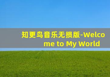 知更鸟音乐无损版-Welcome to My World